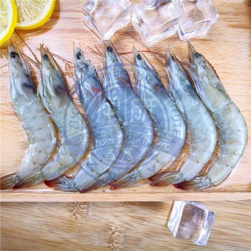 虾类检测